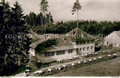 Bad Duerrheim WaldCafe