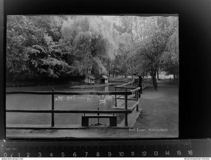 30022135 - Bad Essen