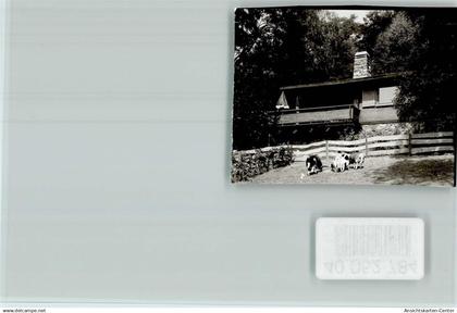 40052784 - Bad Gandersheim