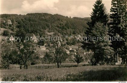 Bad Gottleuba-Berggiesshuebel