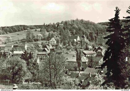 Bad Gottleuba-Berggiesshuebel Panorama