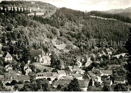 Bad Gottleuba-Berggiesshuebel Panorama