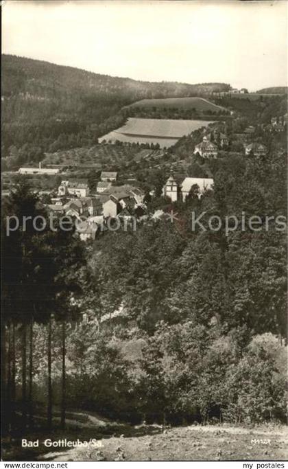Bad Gottleuba-Berggiesshuebel Teilansicht