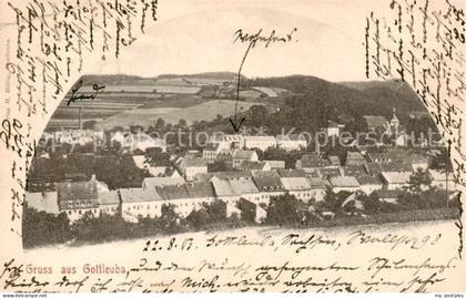 Gottleuba-Berggiesshuebel Bad Panorama