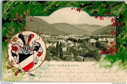 13581147 - Bad Harzburg