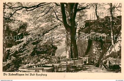 Bad Harzburg Waldhaus Rabenklippen Terrasse Serie Aus deutschen Landen