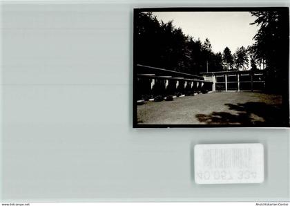 40057334 - Bad Lippspringe