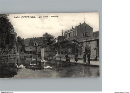 50268244 - Bad Lippspringe