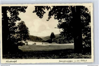 50818405 - Bad Muenstereifel