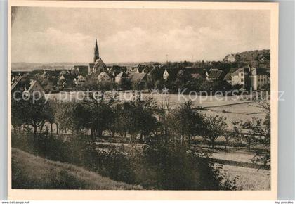 Bad Rappenau Panorama