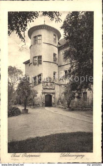 Bad Rappenau Schlosseingang