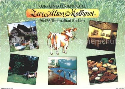 Bad Rodach Kurhotel Ferienhotel Zur Alten Molkerei Hallenbad Kuh