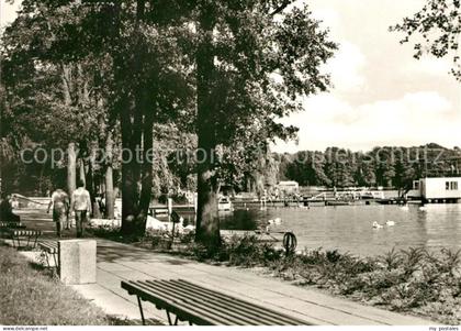 Bad Saarow-Pieskow Schwanenwiese