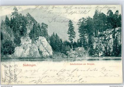 51444955 - Bad Saeckingen