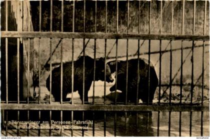Bad Schandau, Bärenzwinger am Personen-Fahrstuhl