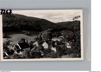 50199041 - Bad Teinach