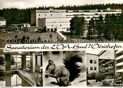 Bad Woerishofen Sanatorium der LVA Bad Woerishofen Hallenbad Eichhoernchen Hansi