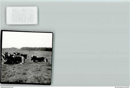 40081228 - Wuennenberg