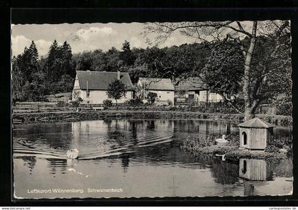 AK Wünnenberg, Schwanenteich