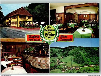 10331052 - Muenstertal , Schwarzwald
