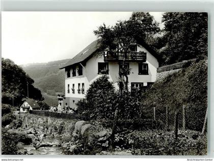 10691928 - Muenstertal , Schwarzwald