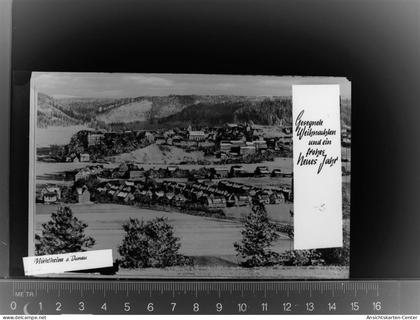 30010482 - Muehlheim an der Donau