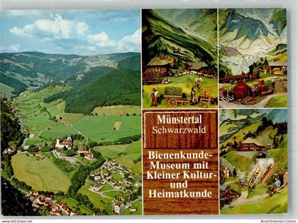 38019916 - Muenstertal , Schwarzwald