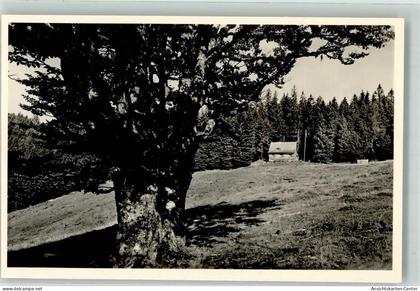 39667578 - Muenstertal , Schwarzwald