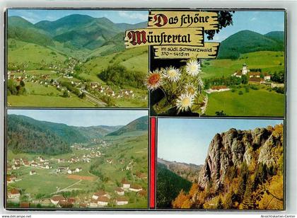 39711370 - Muenstertal , Schwarzwald