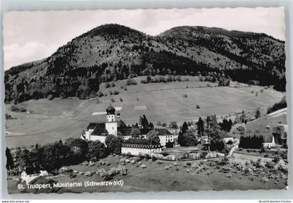 50533127 - Muenstertal , Schwarzwald