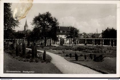 CPA Kornwestheim in Württemberg, Stadtgarten, Bäume, Weg, Gebäude, Kirche im Hintergrund