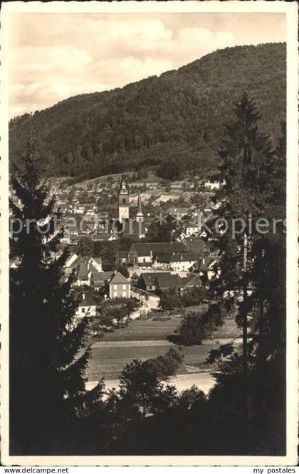 Haslach Kinzigtal Teilansicht