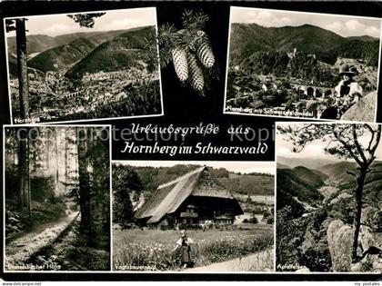 Hornberg Schwarzwald Hornberg Schwarzwaldmdel Vogtsbauernhof Apfelfelsen