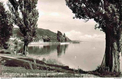 Ludwigshafen Bodman-Ludwigshafen Bodensee Seepanorama