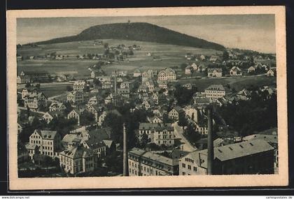 AK Bärenstein / Erzgeb., Ortsansicht mit Fabrik