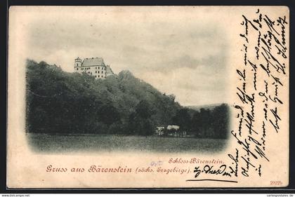 AK Bärenstein / Müglitztal, Schloss Bärenstein