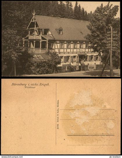 Ansichtskarte Bärenstein (Erzgebirge) Partie am Waldhaus 1920