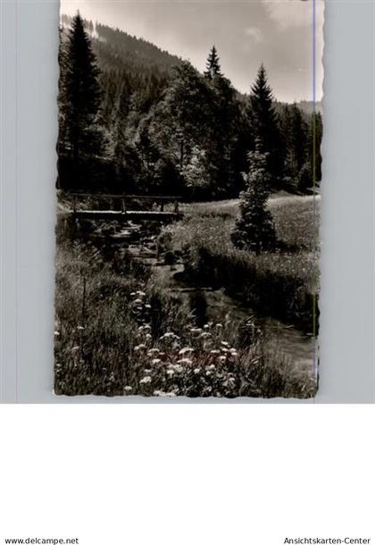 50306826 - Baiersbronn