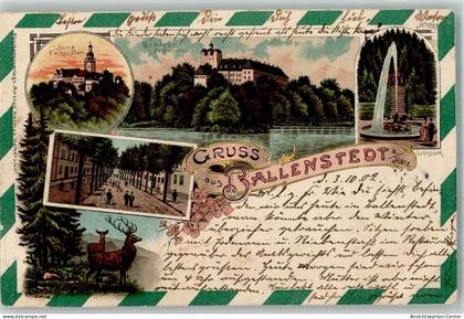 13552920 - Ballenstedt