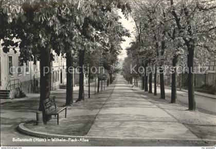 Ballenstedt Wilhelm Pieck Allee
