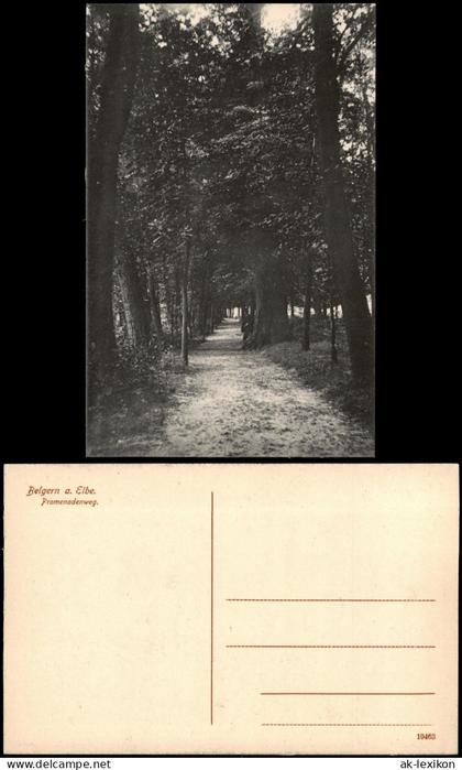 Ansichtskarte Belgern Promenadenweg. 1915