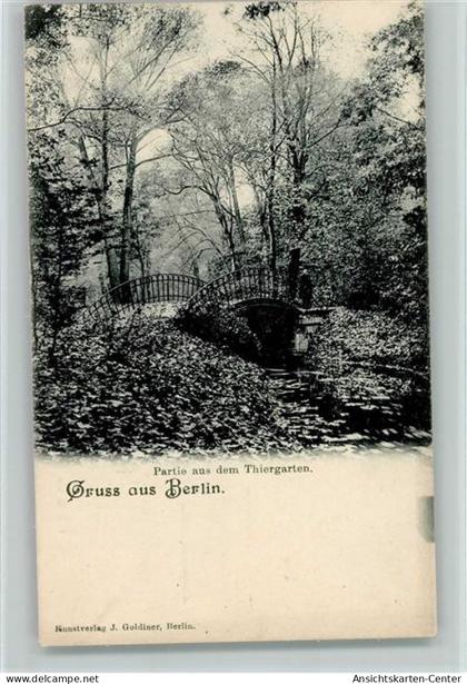 10560858 - Tiergarten