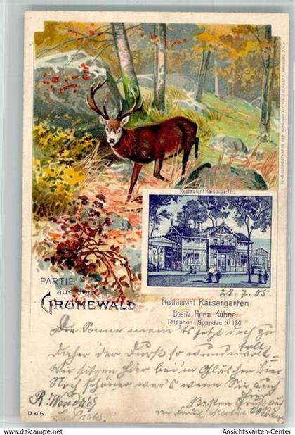 13548910 - Grunewald