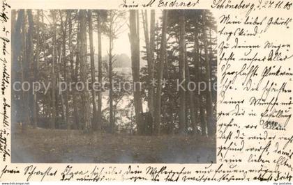 Schoeneberg  Berlin a.

Waldpartie