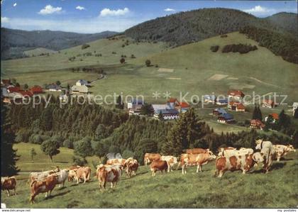 Bernau Schwarzwald