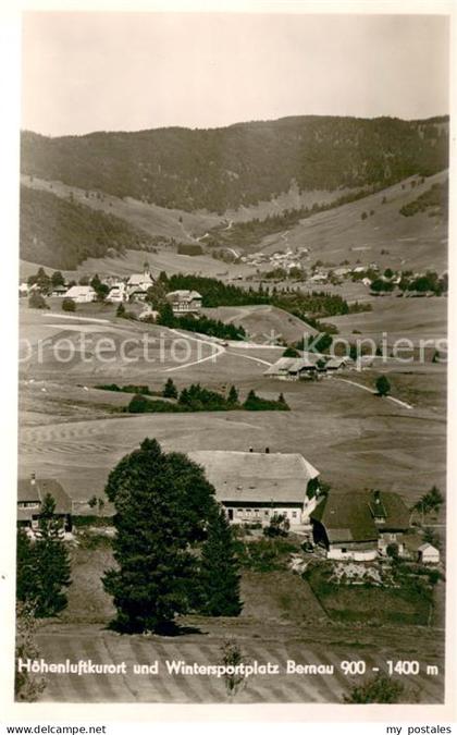 Bernau Schwarzwald Panorama