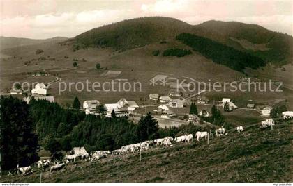 Bernau Schwarzwald Panorama
