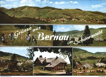 Bernau Schwarzwald Panorama Teilansicht