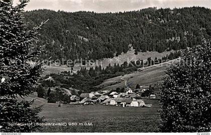 Bernau Schwarzwald Teilansicht
