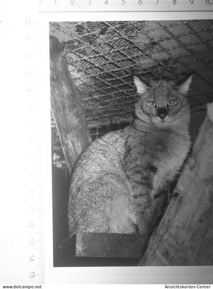 30116437 - Beverungen